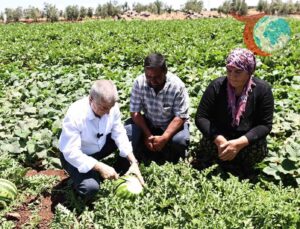 Şahinbey Belediyesi’nden Çiftçilere Dev Fide Desteği: Yerel Ürünlerle Bereketli Hasat