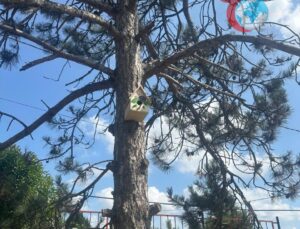 Sakarya’da Engelli Öğrencilerden Kuş Evleri ile Doğaya Destek