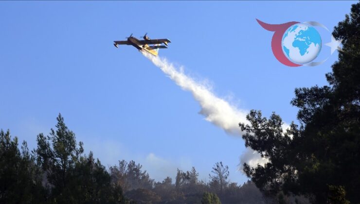 Sakarya’da Orman Yangını Kontrol Altına Alınıyor: Ekipler Zorlu Mücadelede