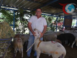 Sındırgı Hayvan Pazarında Bayram Öncesi Hareketlilik