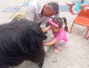 Şırnak’ta öğrencilere keçi sağımı uygulamalı olarak gösterildi