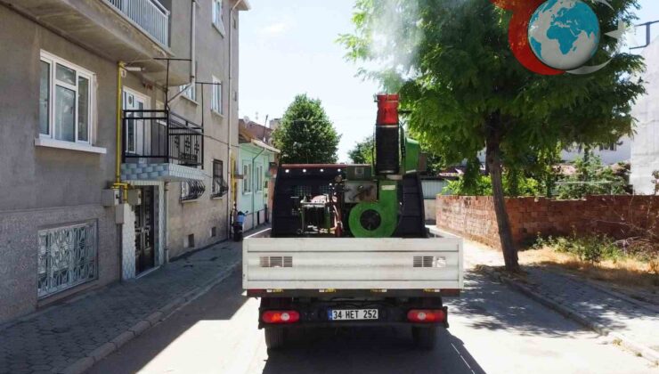 Tepebaşı Belediyesi’nden Kesintisiz Haşere İle Mücadele