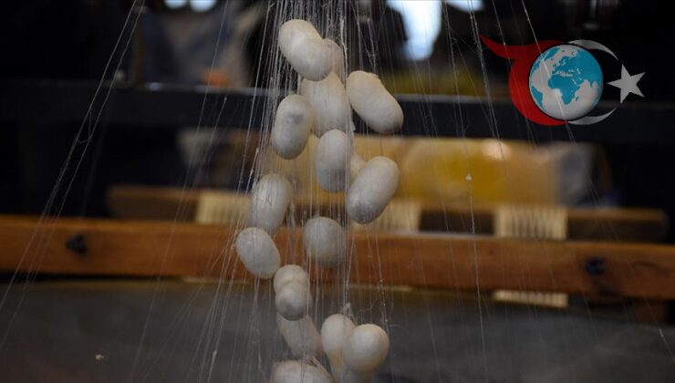 Türkiye’nin İpek Üretiminde İddialı Hedef: 200 Ton