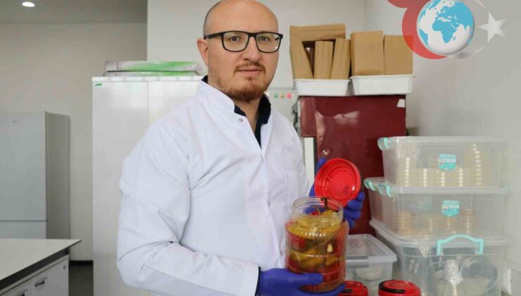 Turşu Bakterileri, Bitki Hastalıklarına Karşı Doğal Bir Çözüm Olabilir