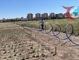 Yeşil Kentsel Tarım Döngüsü ile İklim Direncine Yenilikçi Yaklaşım