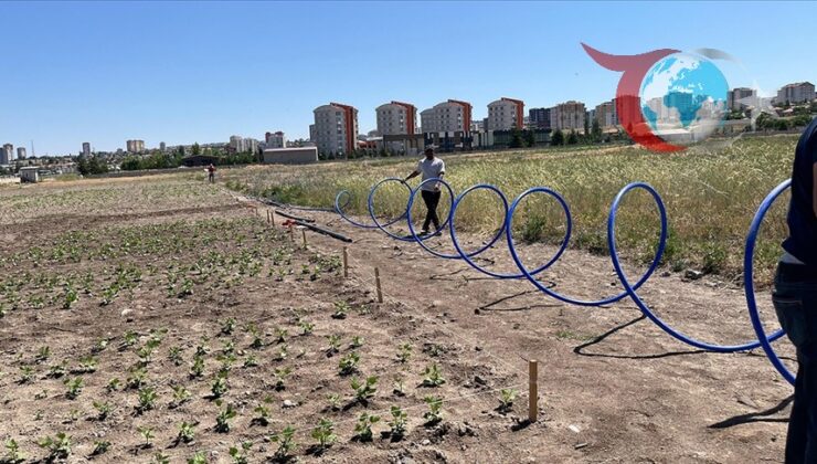 Yeşil Kentsel Tarım Döngüsü ile İklim Direncine Yenilikçi Yaklaşım