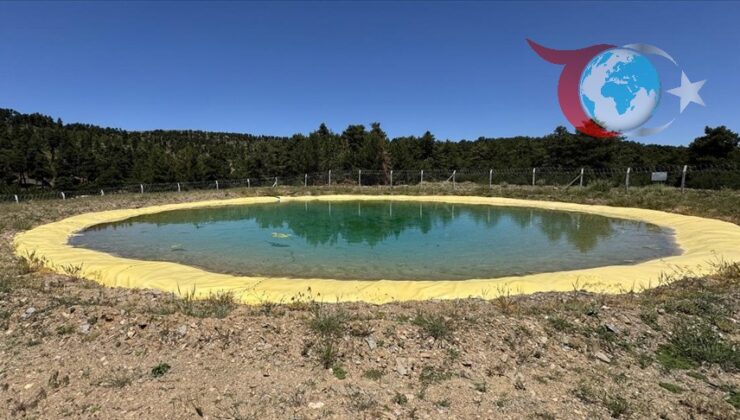 Yozgat’ta Orman Yangınlarıyla Mücadelede Yeni Adımlar: Su Havuzları ve Teknoloji Kullanımı