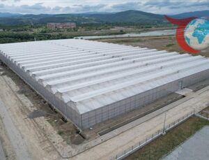 Zonguldak’ta Modern Tarımın Yeni Merkezi: Çaycuma Sera Organize Tarım Bölgesi