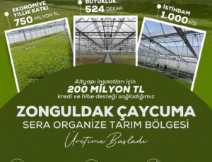 Zonguldak’ta Sera Organize Tarım Bölgesi Üretime Başladı