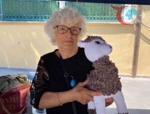 73 Yaşındaki Emine Gök, Örgü Oyuncaklarla Hayatına Renk Katıyor