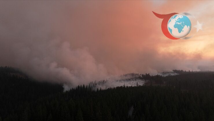 ABD ve Avrupa’da Devam Eden Orman Yangınları: Kontrol Altına Alma Çabaları Sürüyor