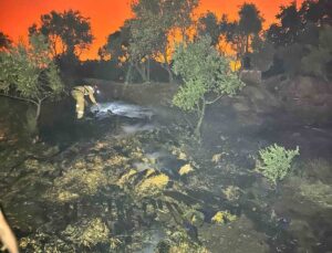 AKUT’un Özverili Mücadelesi: Orman Yangınlarında Gönüllü Destek