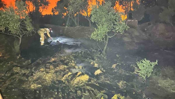 AKUT’un Özverili Mücadelesi: Orman Yangınlarında Gönüllü Destek