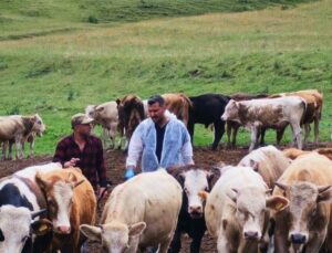 Ardahan’da Şap Hastalığına Karşı Acil Önlemler Alındı