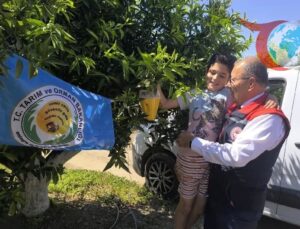 Aydın’da Akdeniz Meyve Sineğine Karşı Etkin Mücadele Başlatıldı