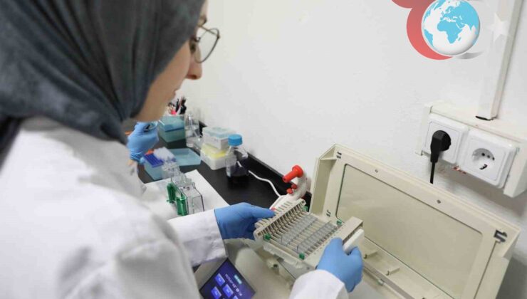 Bartın Üniversitesi’nden Kanser Araştırmalarına Yenilikçi Yaklaşım