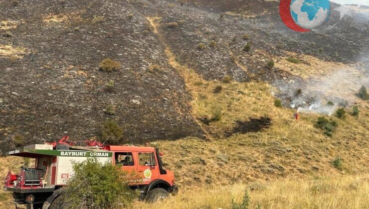 Bayburt’ta Artan Orman Yangınları: Dumanın Sağlık Üzerindeki Etkileri ve Korunma Yolları