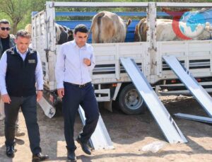 Bilecik Yangınından Sonra Destek Seferberliği Başladı