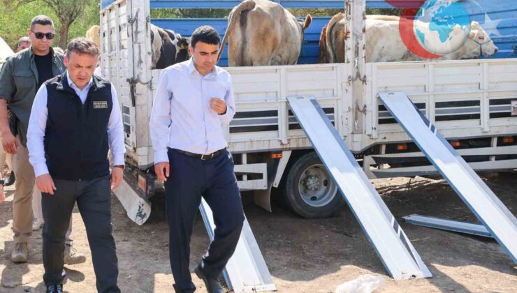 Bilecik Yangınından Sonra Destek Seferberliği Başladı