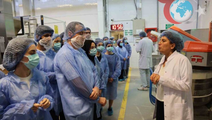 Bursa’nın Gençleri Ekmek Üretimini Yerinde Deneyimliyor
