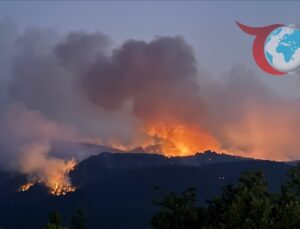 Büyükyayla’daki Orman Yangını Kontrol Altına Alınmaya Çalışılıyor