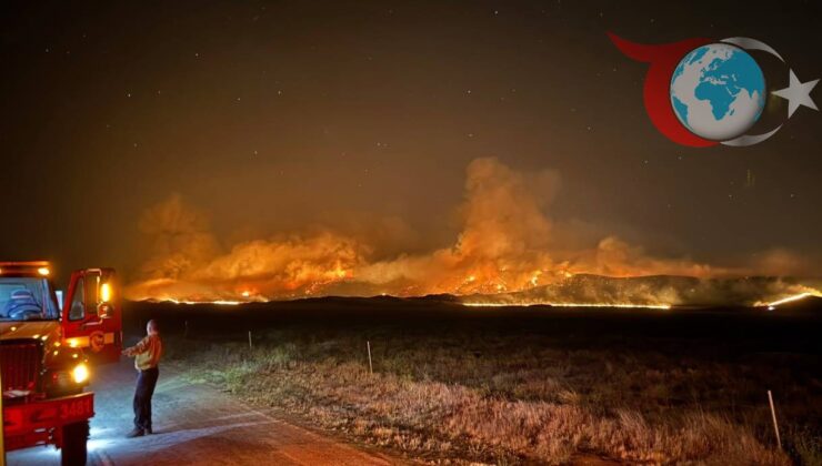 California’da Devam Eden Yangın Felaketi: Binlerce Dönüm Kül Oldu