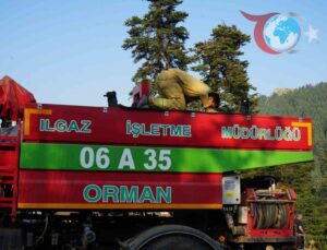 Çankırı Orman Yangınına Karşı Yoğun Mücadele Devam Ediyor