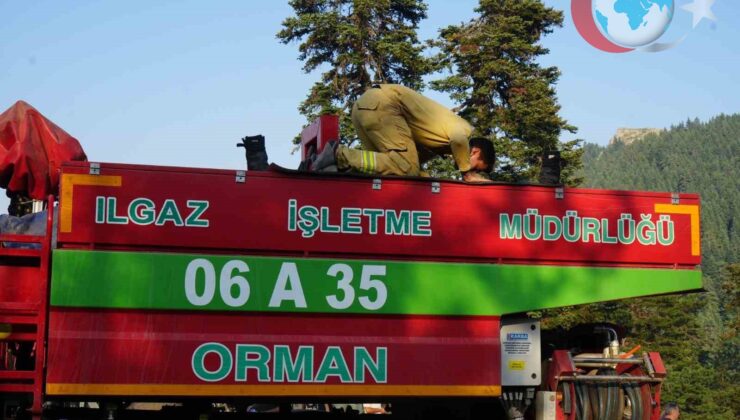 Çankırı Orman Yangınına Karşı Yoğun Mücadele Devam Ediyor