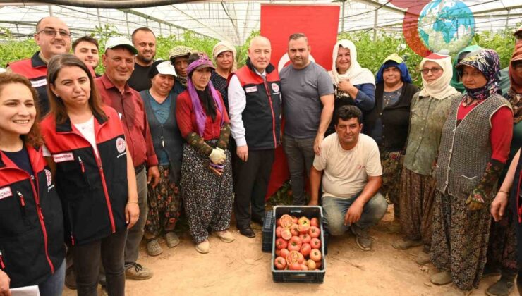Denizli Valisi Çiftçilerle Bir Araya Geldi: Seracılıkta Büyüme Devam Ediyor