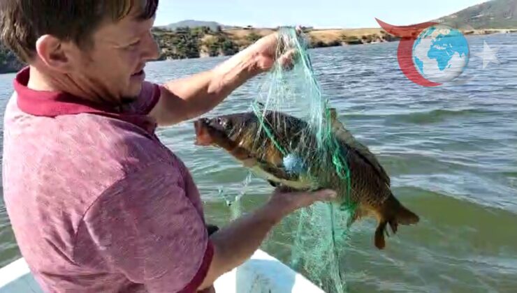 Derbent Barajı’nda Balık Avı Sezonu Başladı: Yerel Pazarlara Taze Balık Geliyor