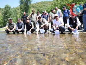 Düzce’de Doğal Yaşamı Canlandırma Çalışmaları: Alabalık ve Kukumav Kuşlarının Salınımı