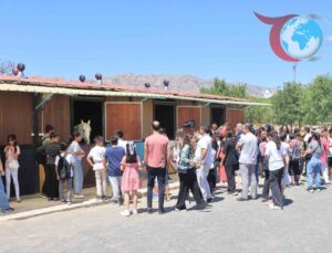 Elazığ Belediyesi Yaz Okullarından Öğrencilere Kültürel ve Tarihi Keşif