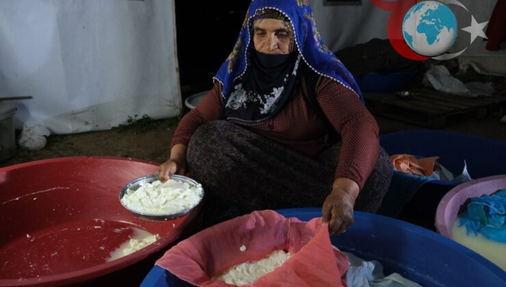 Erzincan Tulum Peyniri: Coğrafi İşaretiyle Dünya Sofralarında