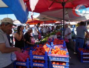 Erzincan’da Yetişen Domatesler Bölge Mutfaklarına Renk Katıyor