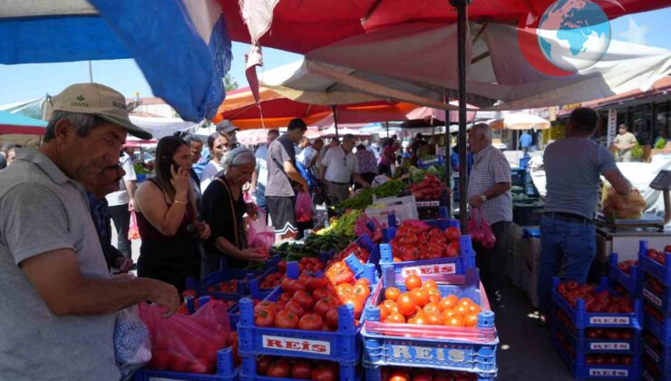 Erzincan’da Yetişen Domatesler Bölge Mutfaklarına Renk Katıyor