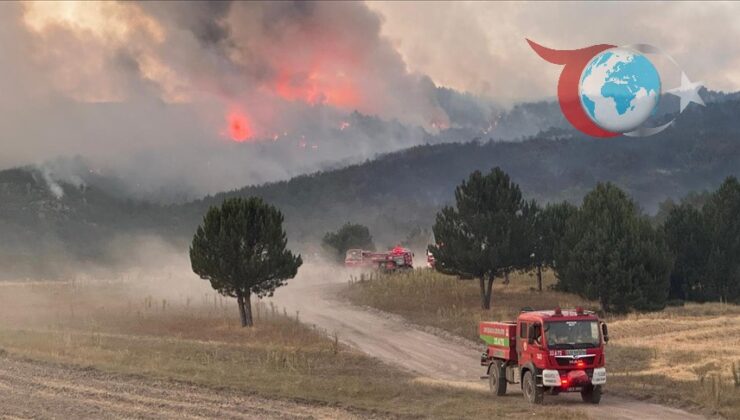 Eskişehir’de Orman Yangını: 10 Kahraman Şehit Oldu