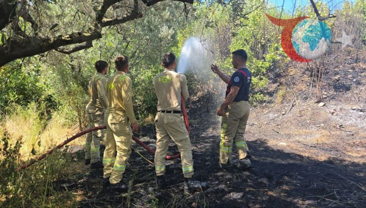 Göktepe’de Yangın: Zeytinlikler ve Çalılıklar Alevlere Teslim Oldu