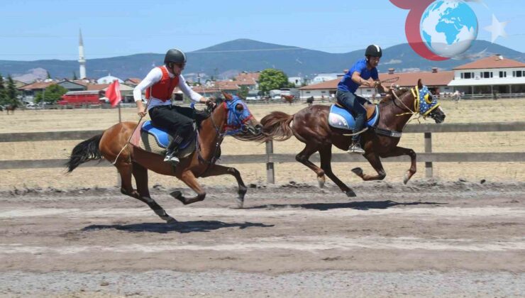 Gölcük’te Nefes Kesen Geleneksel Rahvan At Yarışları: Kazananlar Belli Oldu!