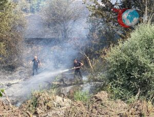 Gölpazarı-Yenipazar Karayolundaki Orman Yangınında Soğutma Çalışmaları Tamamlandı