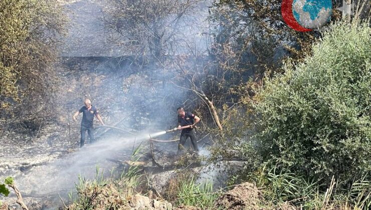 Gölpazarı-Yenipazar Karayolundaki Orman Yangınında Soğutma Çalışmaları Tamamlandı