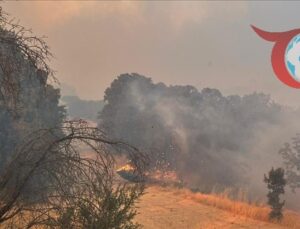 İstanbul’da Orman Yangınları: Önlemler ve Müdahale Stratejileri
