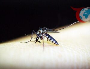 İsviçre’den Küçük Çocuklar İçin Sıtma Tedavisinde Yeni Bir Umut