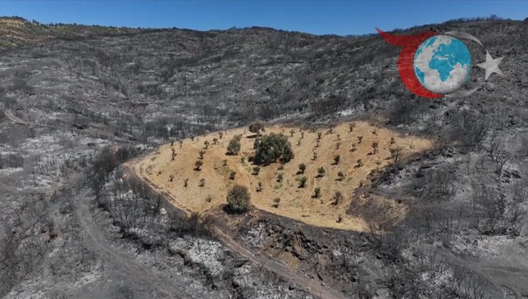 İzmir’deki Orman Yangınında Ahmet Türk’ün Bahçesi Nasıl Ayakta Kaldı?
