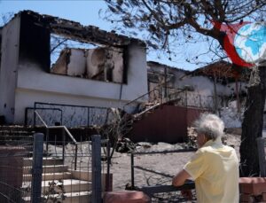 İzmir’deki Orman Yangınlarında Büyük Kayıp: Tarım Arazileri ve Evler Zarar Gördü
