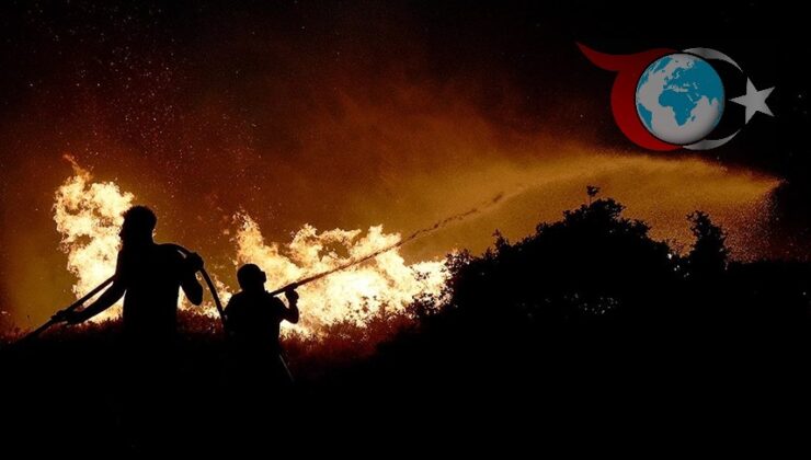 İzmir’deki Yangın Tehlikeli Boyutlara Ulaştı: Ildır ve Çevresi Tahliye Edildi