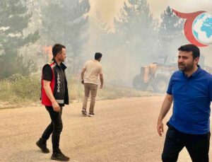 Karabük’teki Büyük Orman Yangını Kontrol Altına Alınmaya Çalışılıyor