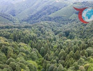 Karaman’da Orman Yangınlarına Karşı Giriş Yasağı