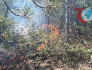 Kayabaşı Köyü’nde Orman Yangını Kontrol Altına Alındı