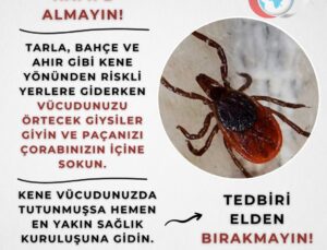Kene Tehlikesine Karşı Eskişehir Valiliği’nden Önemli Uyarı