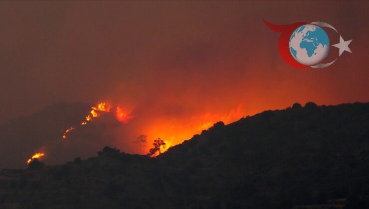 Kıbrıs’ta Yangın Felaketi: Limasol ve Baf’ta Kontrol Altına Alınamayan Alevler